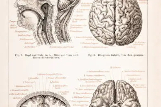 Quand le mental n’arrive plus à lâcher prise